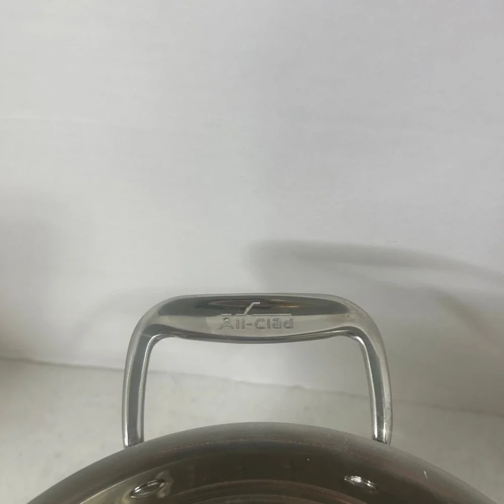 All-Clad Stainless Steel Pasta Pentola Insert Perforated Steamer Basket Silver